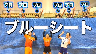 【バレーボール】相手のコートが何も見えないブルーシートバレーをプロとやったら恐怖だった…😱