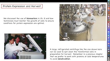Intro to Biotechnology - Chapter 9 - Part 1 - Introduction to Biomanufacturing of Proteins