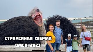 Страусиная ферма. Омский страус. Зоопарк в Омске. Куда съездить на выходные с детьми в Омске