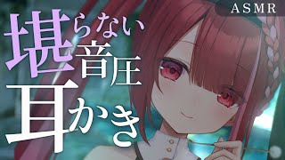 Yuni CH. 切熊ゆにの配信のサムネイル画像