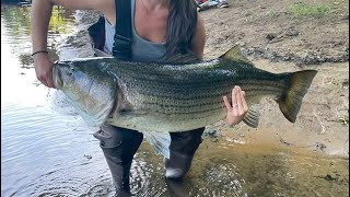 Monster Striper on Lower Saluda with wife!