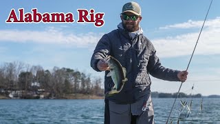 Clear Water ALABAMA RIG Fishing Tips
