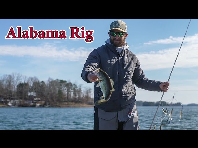 Clear Water ALABAMA RIG Fishing Tips 