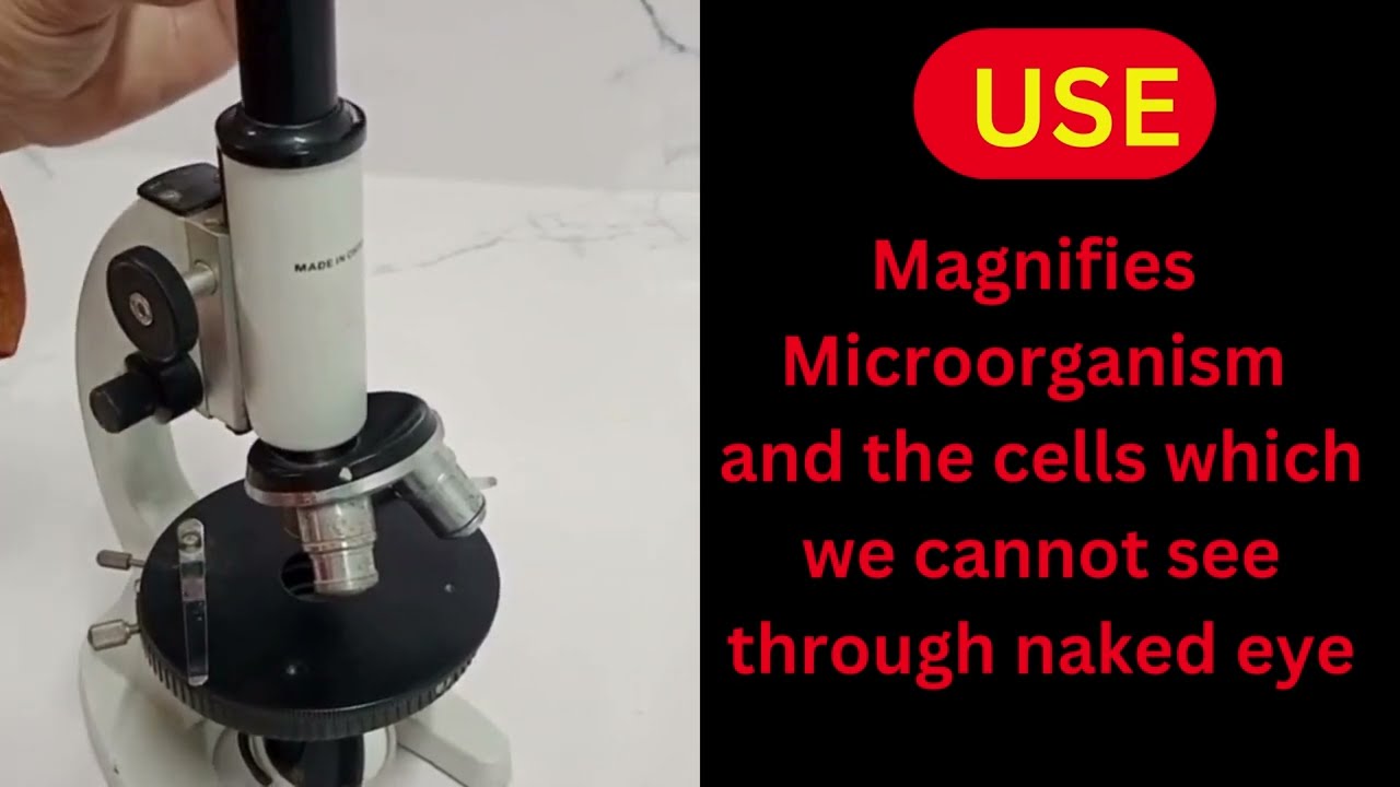 Using a Microscope for the First Time | Biology Easy Tutorial and  its PBA 