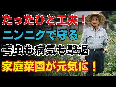 【驚き】家庭菜園が変わる!プロも実践するニンニクの使い方|自然の力で病気・害虫に強くなる