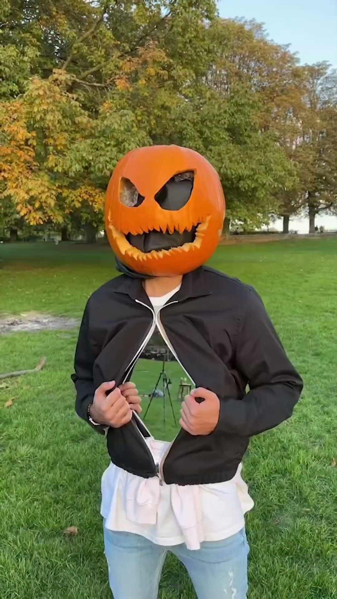 Who stole my candy?