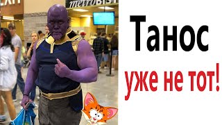 Лютые приколы! ТАНОС ПРОТИВ КОТА!!! Попробуй не засмеяться! Самое смешное видео! - Domi Show!