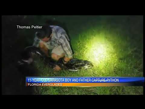 News Video - Father & Son Catch Python