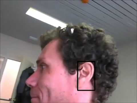 Left and right ear detection