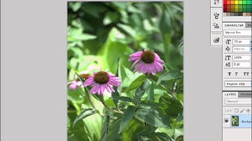 0506 Photoshop CS5 (Assignment).m4v