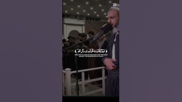 قارئ عمر عبداللە سورة الزمر