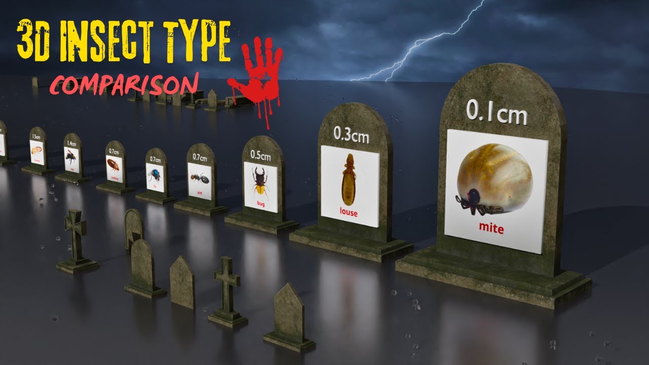 Insects Size Showdown: 3D Comparison in a Dark Environment - YouTube
