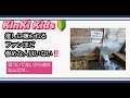 【KinKi Kids堂本光一・剛さん】「光一さんの歌声が好きなのよ」(^_^;)
