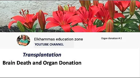 organ donation 2 Brain death