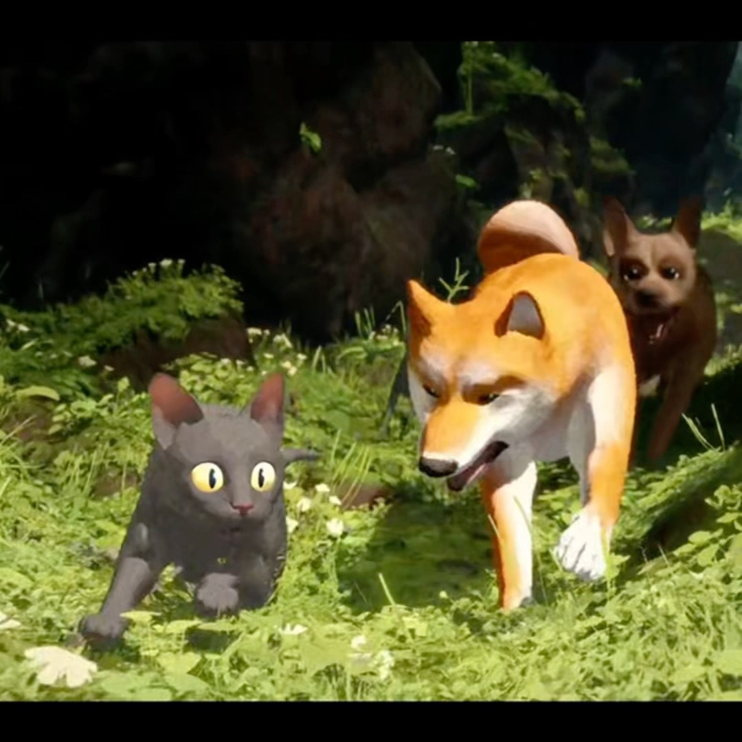 OS CACHORROS QUERIAM PEGAR O COITADO DO GATO #shorts