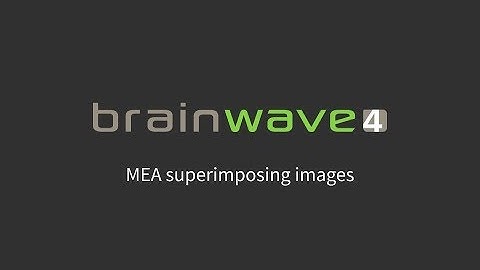 MEA superimposing images