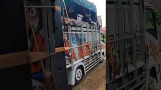 Detik2 Nanda  Betel
