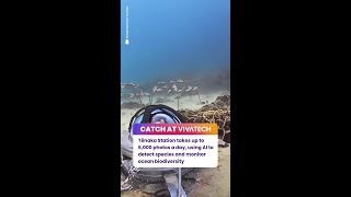 The Eyes Of The Ocean