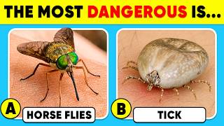 How Good Is Your Knowledge of ANIMALS? 😨🥶😱 General Knowledge Trivia Quiz screenshot 4