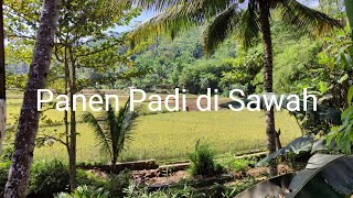 Album Cdanursari Lagu Terbaru Trending 2025 Niken Salindry Sinarengan Ayang Ayang