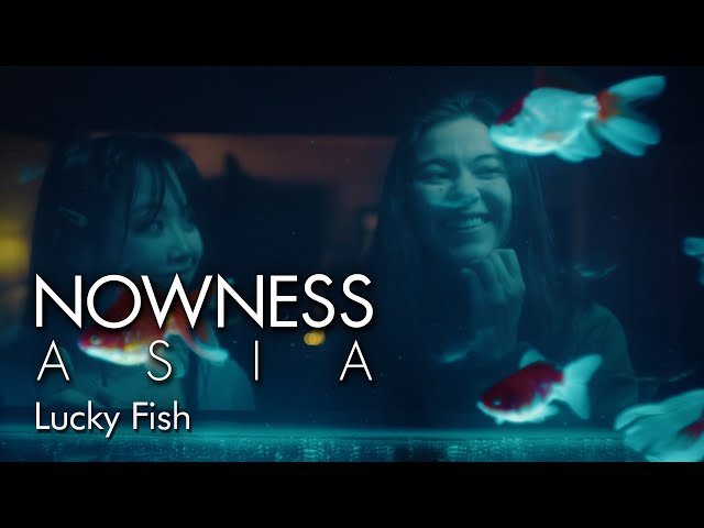 Fish - Lucky