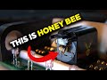 What are these people doing to the bees