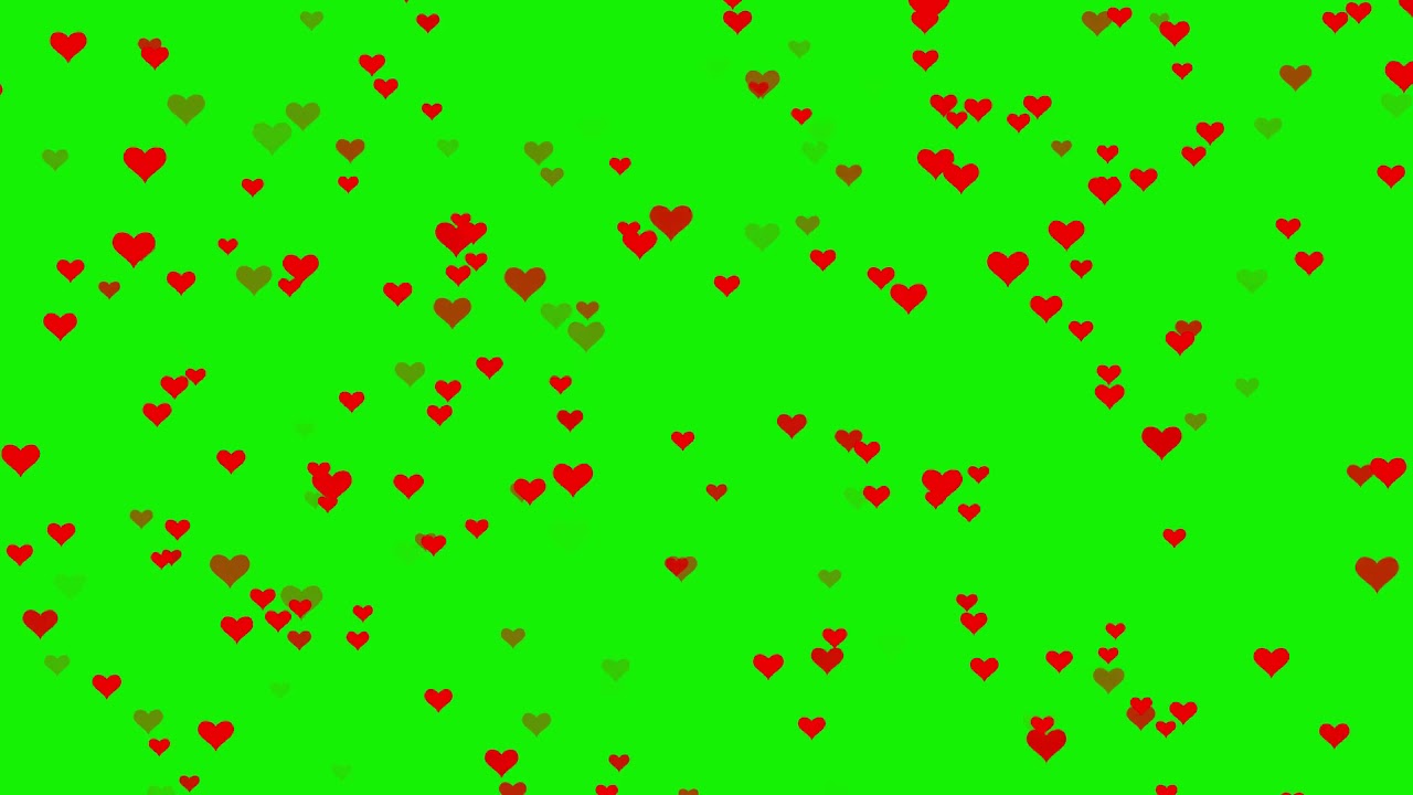 Green screen corazones pantalla verde 