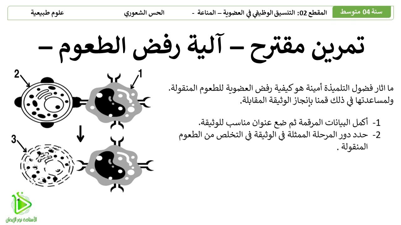 تمرين مقترح لشهادة التعليم المتوسط BEM - الية التخلص من الطعوم غير المقبولة - علوم طبيعية 04 متوسط