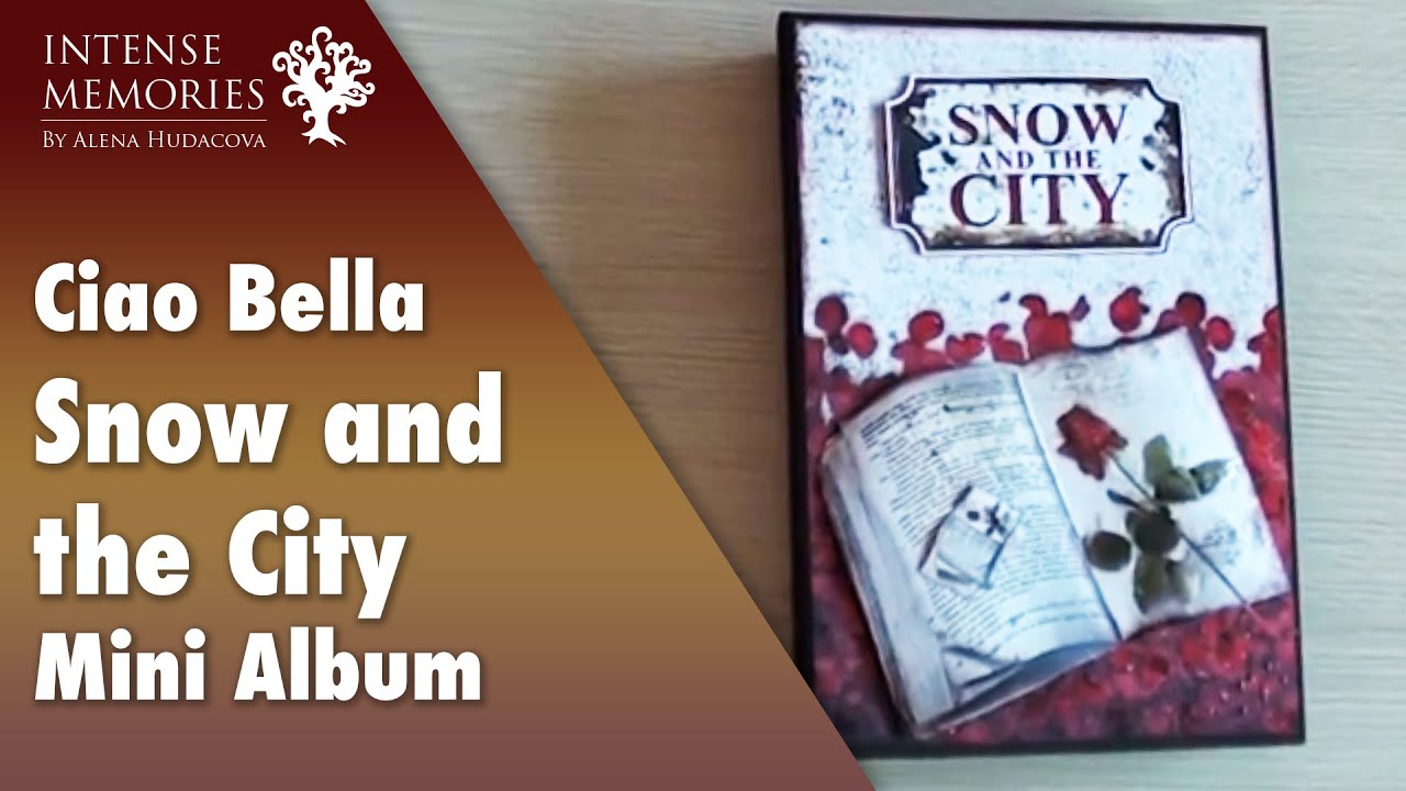249 Snow and the City - mini album paper mache