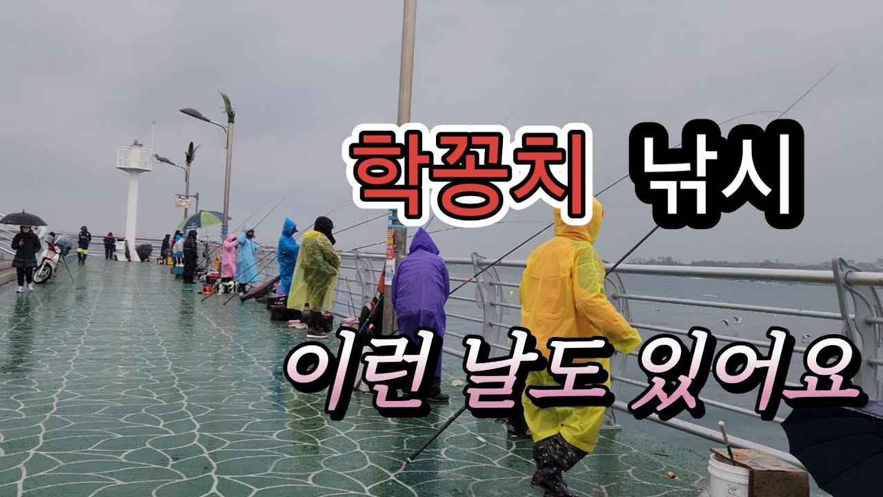 이런 날도 있어요. 학꽁치  낚시#바다낚시