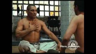 Stemm  Face The Pain  Ft Rickson Gracie tribute