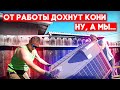 Бессмертные пони Fuse HVAC