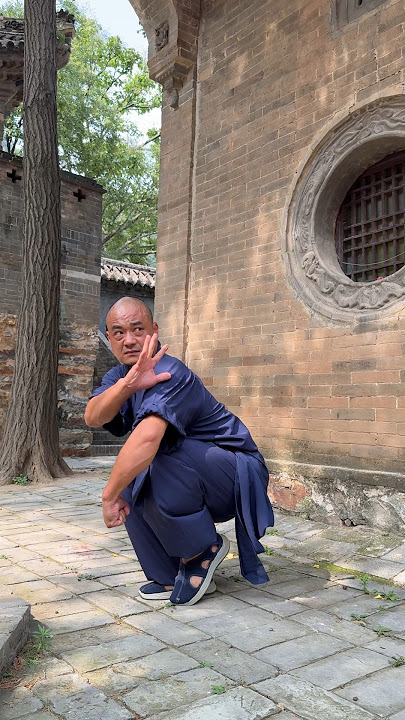 SHAOLIN MARTIAL ARTS || KICKBOXING KUNGFU FIST #kungfu #shaolin