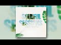 Amapiano  soulful sessions vol 08 mixed by khumozin private school piano