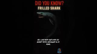 The 80-Million-Year-Old Sea Monster #animals #sea #monster #shorts #clicknknow