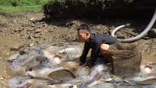 Video Fishing: Amazing fishing, Survival In The Forest, Unique Fishing, Big Fish Hunting With Pump