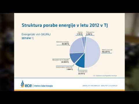 Video: Enajstletna šolarka Uspešno Razvija Obnovljive Vire Energije - Alternativni Pogled