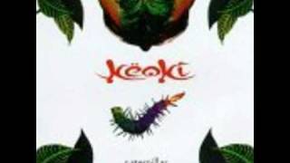 Dj Keoki - Caterpillar Rabbit In The Moons Disco 2001 Mix