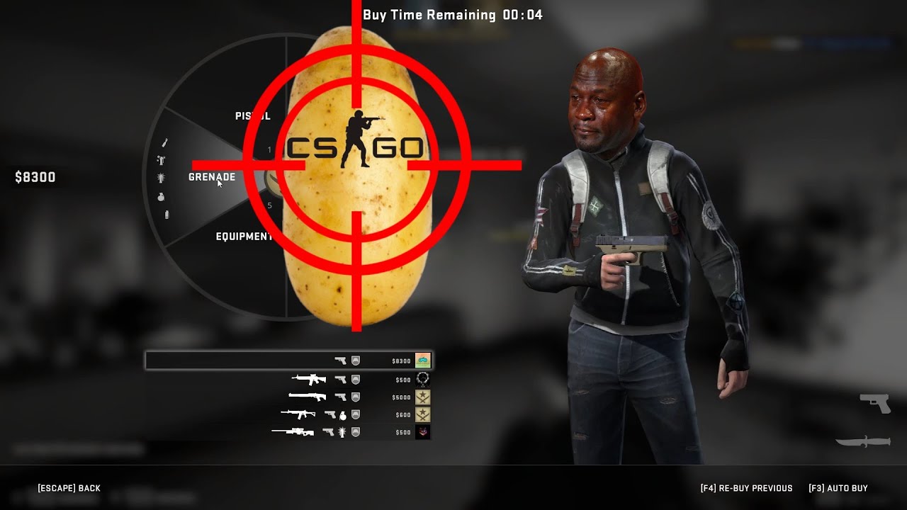 POTATO AIM || CS:GO||