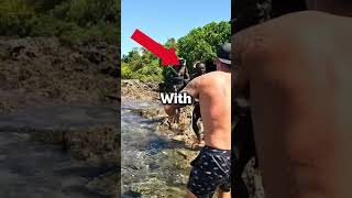 They visited a forgotten island...