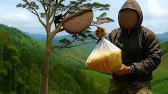 Insane Wild Honey Hunt – 50m Tree Climb in the Jungle