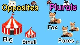 Opposite Words | Antonyms | Singular & Plural Nouns | Opposite Words For Kids |  Learn Plural Nouns