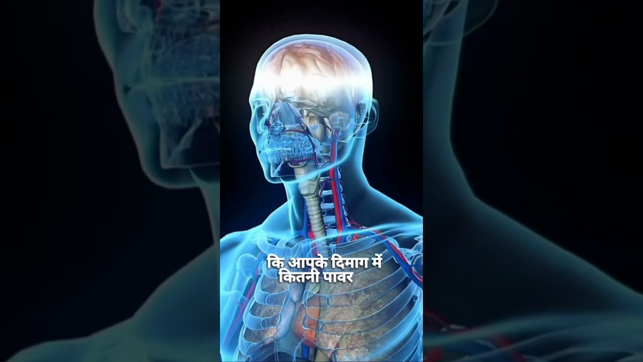 human brain shocking fact😲🧠​