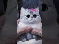 “You Can DIY Your Own Cat?! 🐱💖 This Is TOO Cute!”
