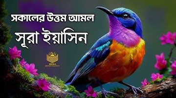 সুন্দর সকালের সেরা আমল সূরা ইয়াসিন তিলাওয়াত । Surah Yasin l سوره يس | By Ayub Moosad