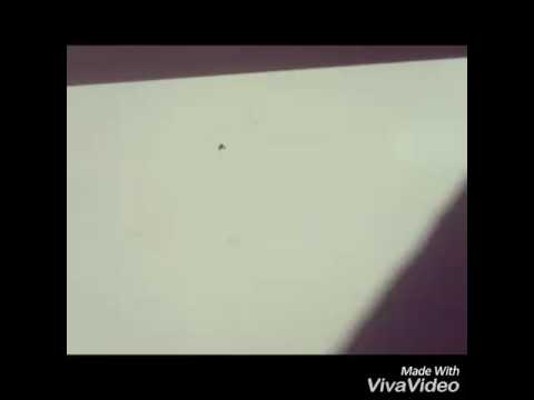 Новый спиннер из Сочи Новый спиннер из Сочи
