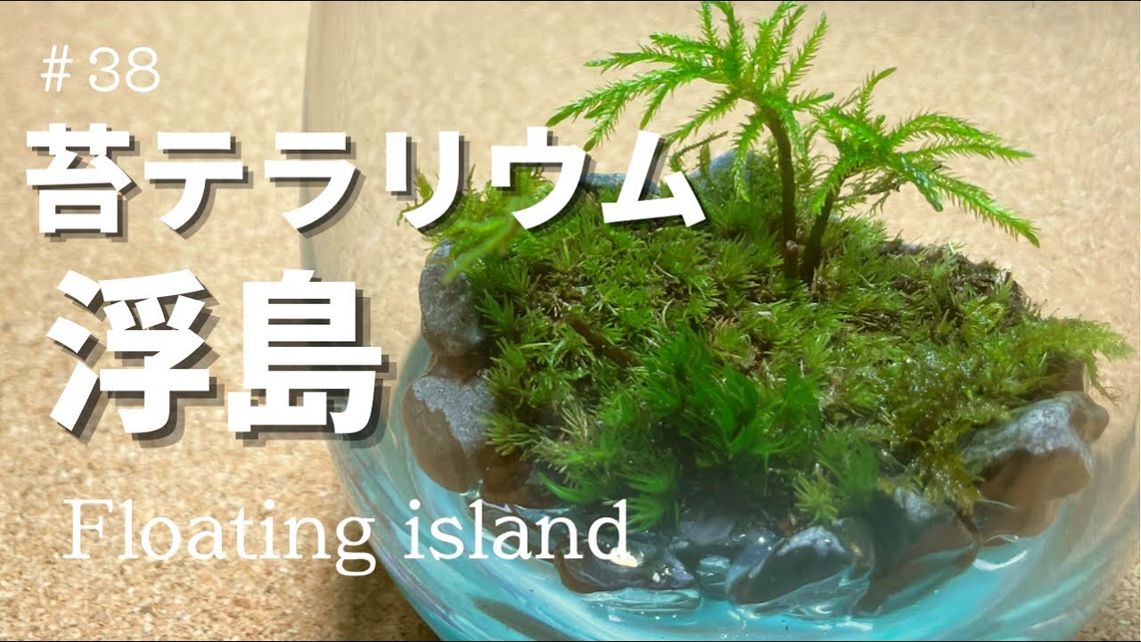Moss Terrarium レジンの海に浮かぶ島をレイアウト 苔テラリウムの作り方 Layout The Island Floating In The Resin Sea Youtube Moss Terrarium レジンの海に浮かぶ島をレイアウト 苔テラリウムの作り方 Layout The Island Floating In The Resin Sea Youtube