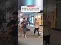 Busking cat gives the perfect meow