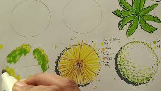 Drawing Tree [Architectural TREES] Tips #drawing