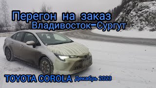 Перегон Владивосток-Сургут. TOYOTA COROLA зима 2023